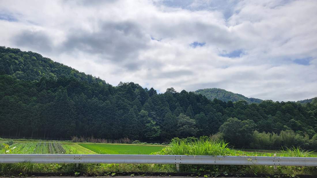 黒田の山なみと田んぼの風景